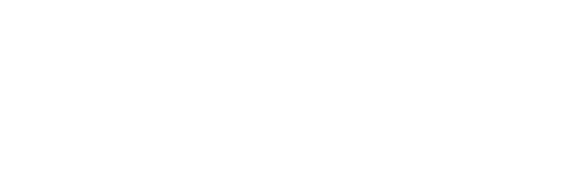 The System Professionals